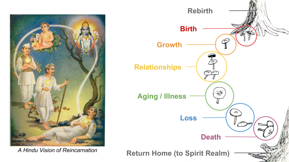 Figure iii: Connection to traditional Reincarnation myth